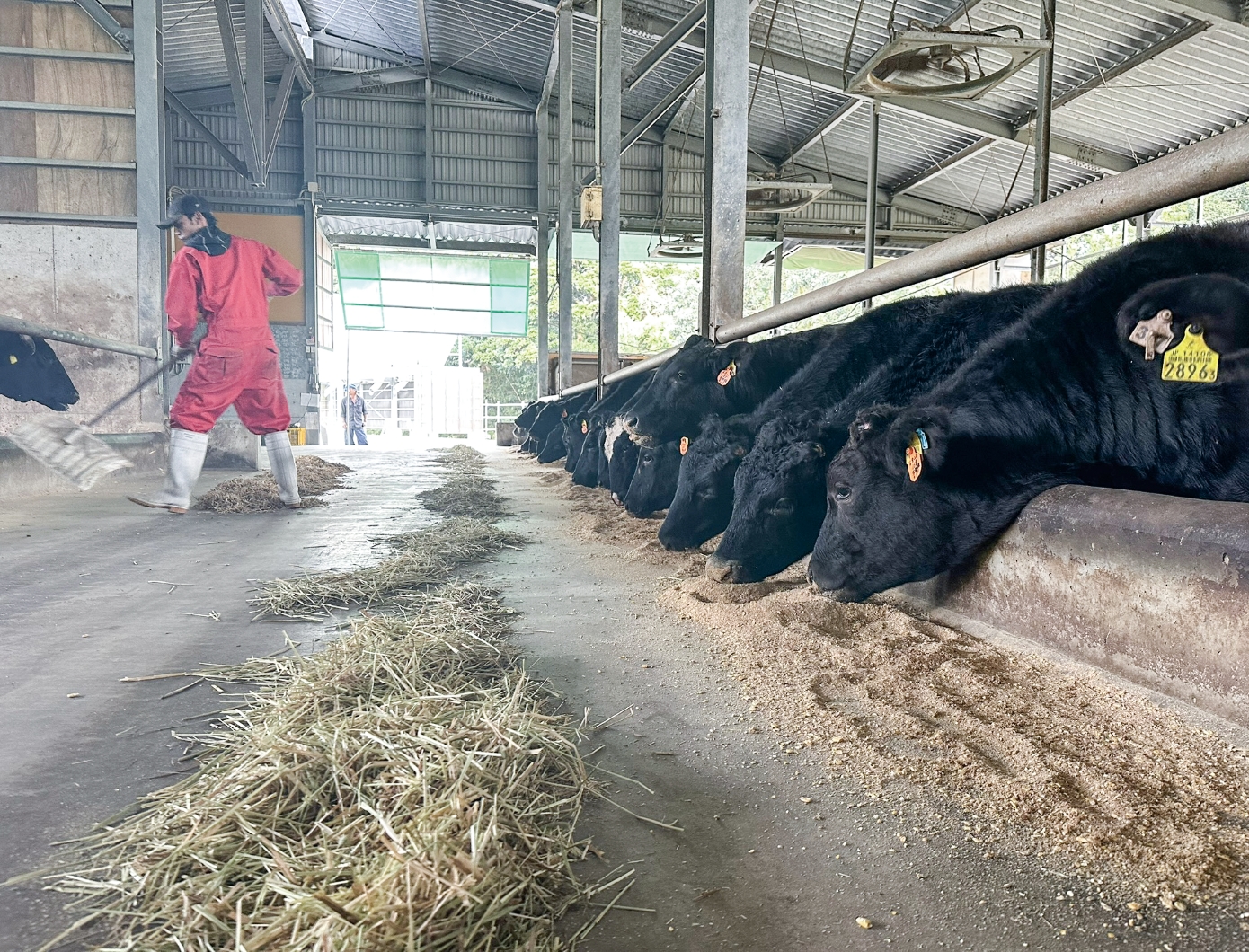 philosophy content 1