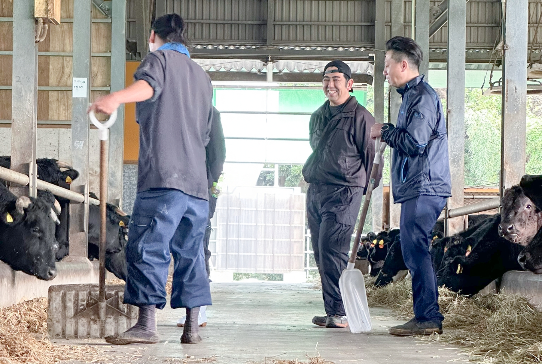 philosophy content 4